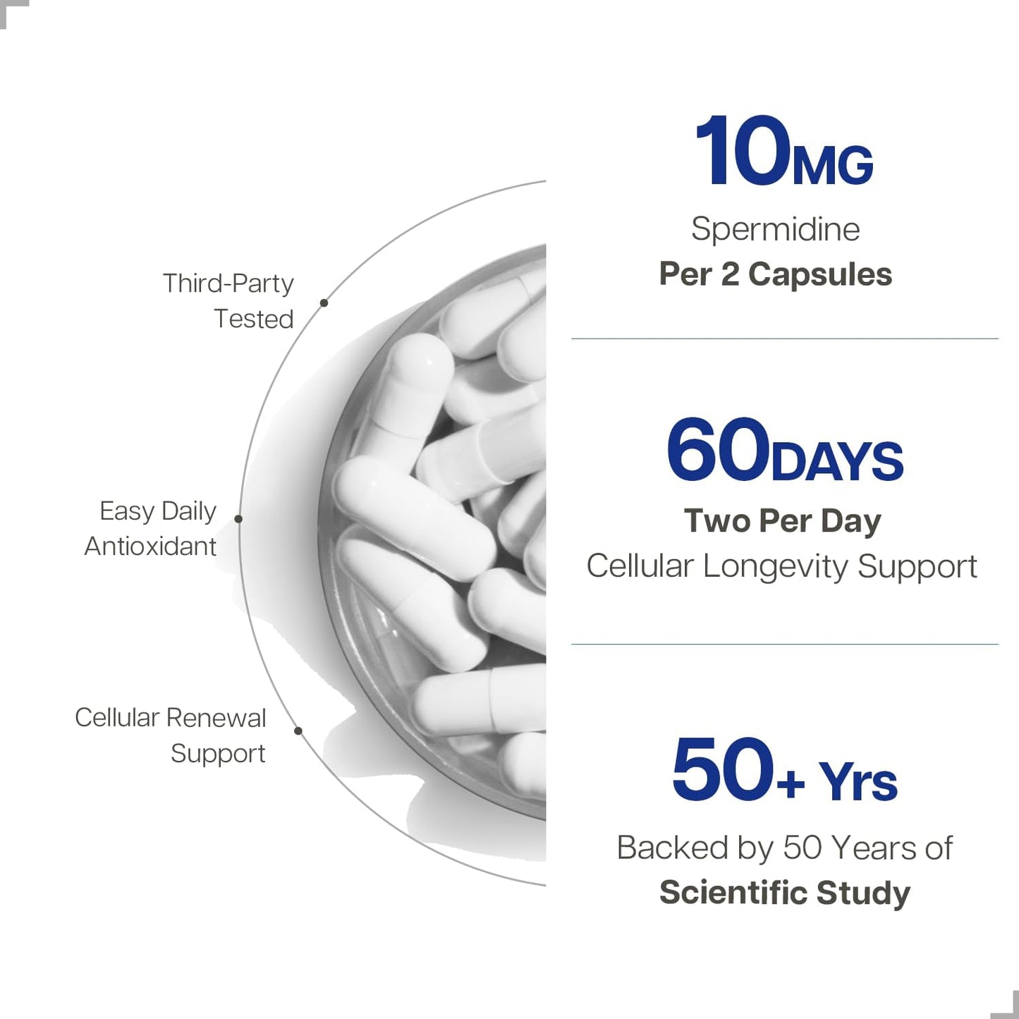 Just Glow Spermidine Supplement 10Mg 120 Capsules (98% of Spermidine 3HCL - Third Party Tested) for Healthy Aging, Longevity, and Cellular Renewal - Made in Canada