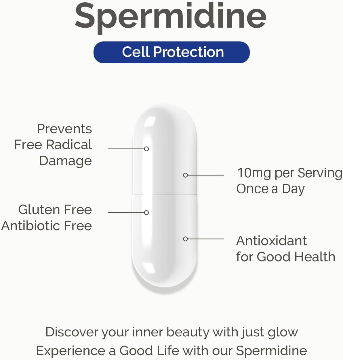 Just Glow Spermidine Supplement 10Mg 120 Capsules (98% of Spermidine 3HCL - Third Party Tested) for Healthy Aging, Longevity, and Cellular Renewal - Made in Canada