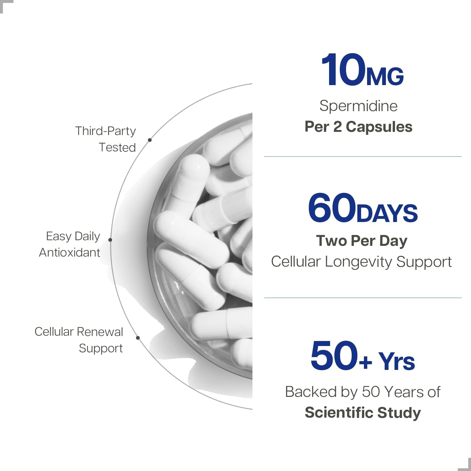 Just Glow Spermidine Supplement 10Mg 120 Capsules (98% of Spermidine 3HCL - Third Party Tested) for Healthy Aging, Longevity, and Cellular Renewal - Made in Canada